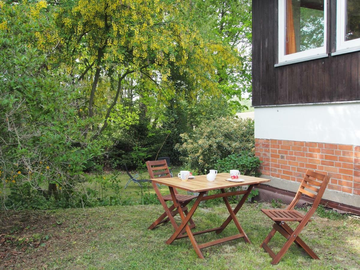 Ferienwohnung Am Duemmer See Dummer Eksteriør bilde